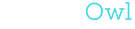 DigitalOwl insurance AI logo